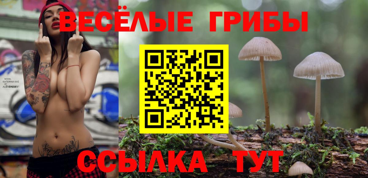 Камышлов  Галлюциногенные грибы GOLDEN TEACHER  Вход с VPN 